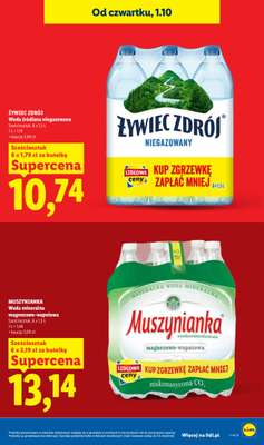 Lidl - gazetka promocyjna Oferta od czwartku od czwartku 01.10 do soboty 03.10 - strona 17