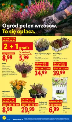 Lidl - gazetka promocyjna Oferta od czwartku od czwartku 01.10 do soboty 03.10 - strona 102