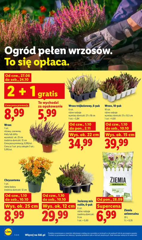 Lidl - gazetka promocyjna Oferta od czwartku od czwartku 01.10 do soboty 03.10 - strona 102