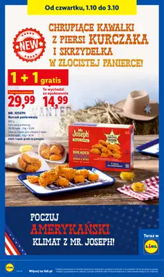 Lidl - gazetka promocyjna Oferta od czwartku od czwartku 01.10 do soboty 03.10 - strona 90