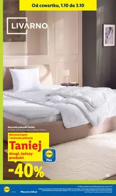 Lidl - gazetka promocyjna Oferta od czwartku od czwartku 01.10 do soboty 03.10 - strona 42