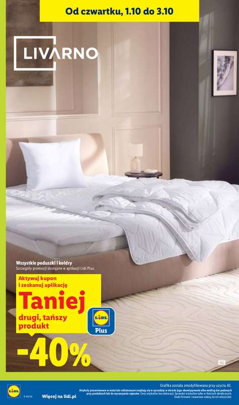 Lidl - gazetka promocyjna Oferta od czwartku od czwartku 01.10 do soboty 03.10 - strona 42