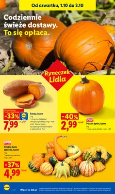 Lidl - gazetka promocyjna Oferta od czwartku od czwartku 01.10 do soboty 03.10 - strona 50