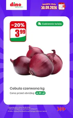 Dino - gazetka promocyjna Specjalna oferta na 30.09.2026 - promocje spoza gazetki od środy 30.09 do środy 30.09 - strona 9