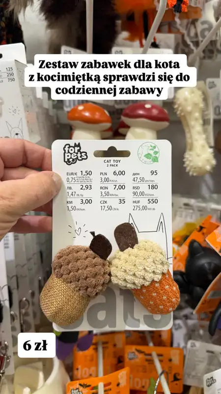 Pepco - gazetka promocyjna Zakupowe Inspiracje w Pepco od poniedziałku 05.10  - strona 15