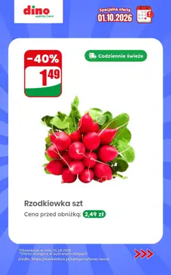 Dino - gazetka promocyjna Specjalna oferta na 01.10.2026 - promocje spoza gazetki od czwartku 01.10 do czwartku 01.10 - strona 2