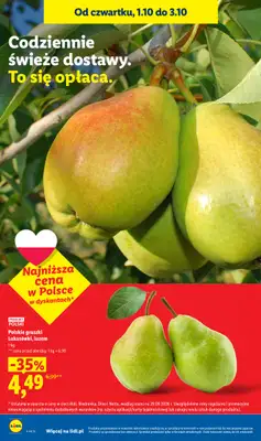 Lidl - gazetka promocyjna Oferta od czwartku od czwartku 01.10 do soboty 03.10 - strona 16