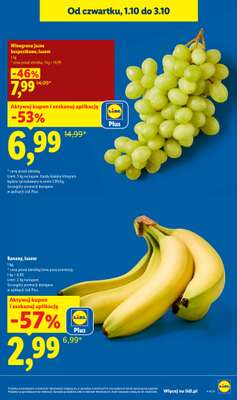 Lidl - gazetka promocyjna Oferta od czwartku od czwartku 01.10 do soboty 03.10 - strona 17