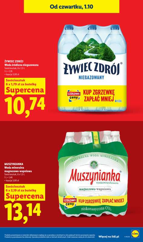 Lidl - gazetka promocyjna Oferta od czwartku od czwartku 01.10 do soboty 03.10 - strona 19