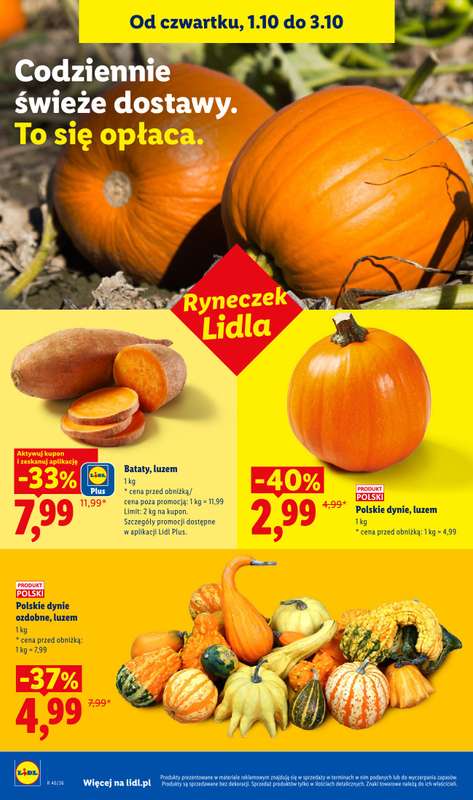 Lidl - gazetka promocyjna Oferta od czwartku od czwartku 01.10 do soboty 03.10 - strona 46
