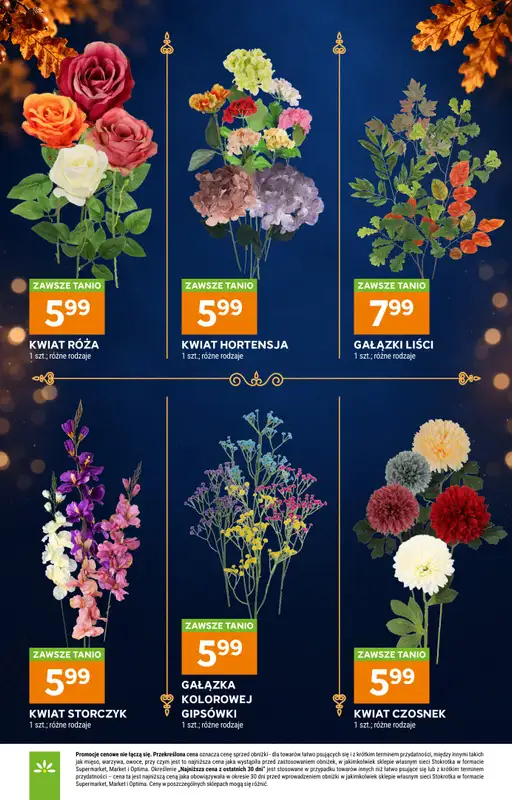 Stokrotka - gazetka promocyjna Katalog Znicze od czwartku 01.10 do środy 04.11 - strona 13