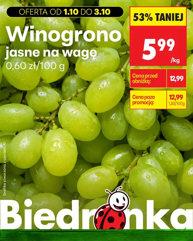 Biedronka - gazetka promocyjna Biedronkowe oszczędności od czwartku   - strona 3