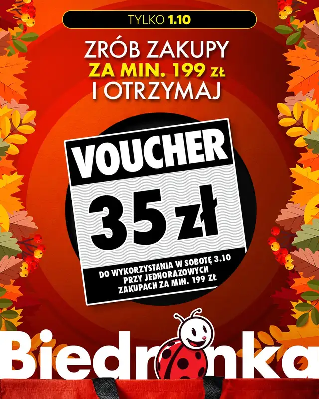 Biedronka - gazetka promocyjna Biedronkowe oszczędności od czwartku   - strona 2