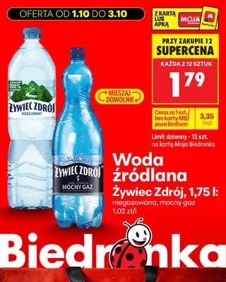 Biedronka - gazetka promocyjna Biedronkowe oszczędności od czwartku od czwartku 01.10 do soboty 03.10 - strona 15