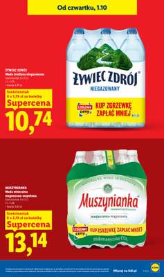 Lidl - gazetka promocyjna Oferta od czwartku od czwartku 01.10 do soboty 03.10 - strona 19