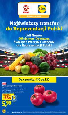 Lidl - gazetka promocyjna Oferta od czwartku od czwartku 01.10 do soboty 03.10 - strona 42