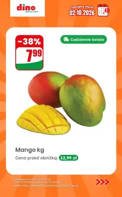 Dino - gazetka promocyjna Specjalna oferta na 02.10.2026 - promocje spoza gazetki od piątku 02.10 do piątku 02.10 - strona 7