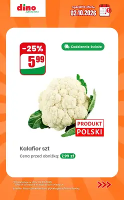 Dino - gazetka promocyjna Specjalna oferta na 02.10.2026 - promocje spoza gazetki od piątku 02.10 do piątku 02.10 - strona 3