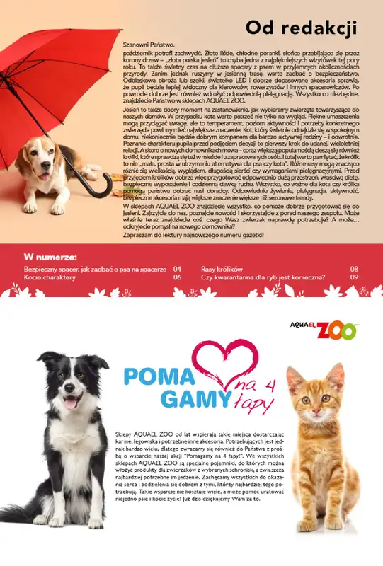 Aquael zoo - gazetka promocyjna Gazetka od piątku 02.10 do soboty 31.10 - strona 3