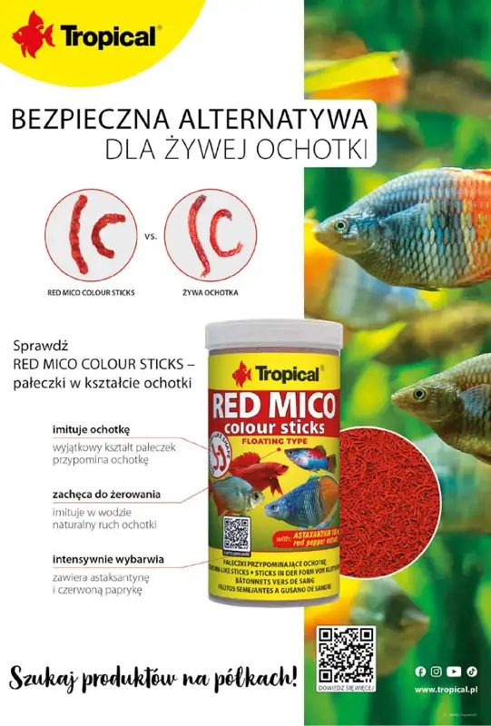Aquael zoo - gazetka promocyjna Gazetka od piątku 02.10 do soboty 31.10 - strona 14