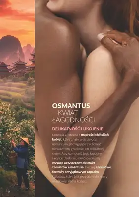 AVON - gazetka promocyjna Katalog Październik 2026 od piątku 02.10 do soboty 31.10 - strona 14