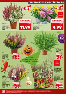 Kaufland - gazetka promocyjna Oferta Kaufland - SUPER SOBOTA od soboty 03.10 do soboty 03.10 - strona 7