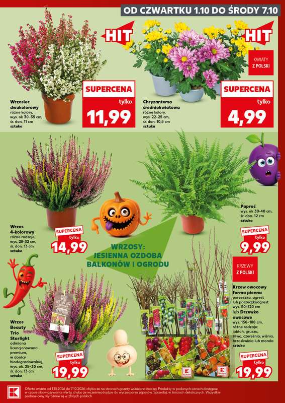 Kaufland - gazetka promocyjna Oferta Kaufland - SUPER SOBOTA od soboty 03.10 do soboty 03.10 - strona 7