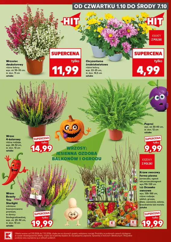 Kaufland - gazetka promocyjna Oferta Kaufland - SUPER SOBOTA od soboty 03.10 do soboty 03.10 - strona 7