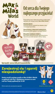 Lidl - gazetka promocyjna Oferta od czwartku od czwartku 01.10 do soboty 03.10 - strona 99