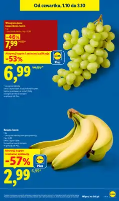 Lidl - gazetka promocyjna Oferta od czwartku od czwartku 01.10 do soboty 03.10 - strona 17