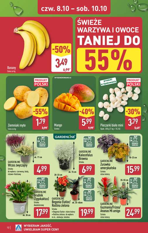 Aldi - gazetka promocyjna Weekend super cen w Aldi! od czwartku 08.10 do soboty 10.10 - strona 12