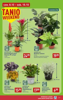 Aldi - gazetka promocyjna Weekend super cen w Aldi! od czwartku 08.10 do soboty 10.10 - strona 11
