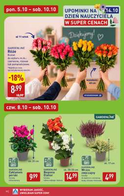 Aldi - gazetka promocyjna Weekend super cen w Aldi! od czwartku 08.10 do soboty 10.10 - strona 10
