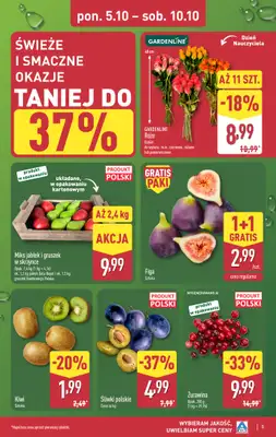 Aldi - gazetka promocyjna Pełny katalog! od poniedziałku 05.10 do soboty 10.10 - strona 5