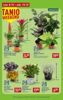 Aldi - gazetka promocyjna Pełny katalog! od poniedziałku 05.10 do soboty 10.10 - strona 39