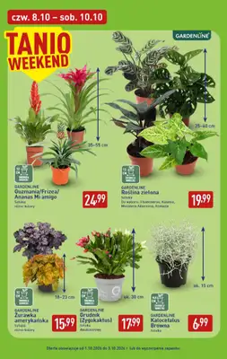 Aldi - gazetka promocyjna Pełny katalog! od poniedziałku 05.10 do soboty 10.10 - strona 39