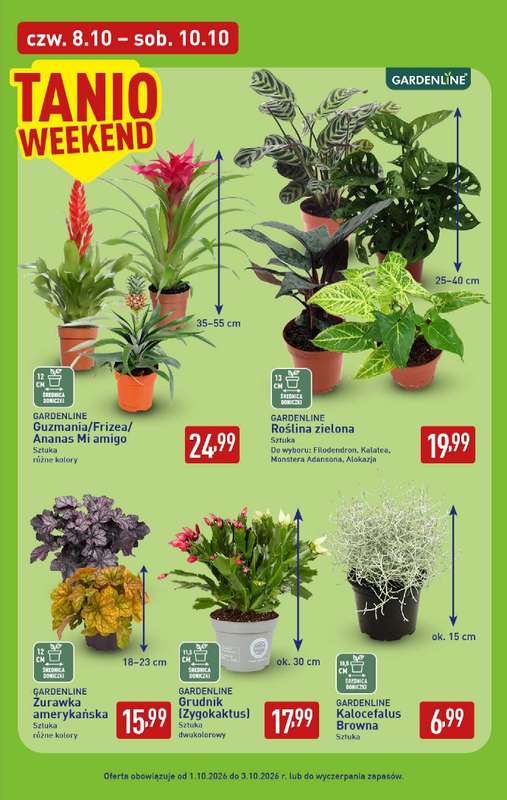 Aldi - gazetka promocyjna Pełny katalog! od poniedziałku 05.10 do soboty 10.10 - strona 39
