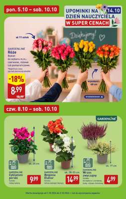Aldi - gazetka promocyjna Pełny katalog! od poniedziałku 05.10 do soboty 10.10 - strona 38