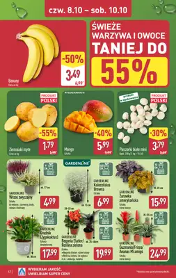 Aldi - gazetka promocyjna Pełny katalog! od poniedziałku 05.10 do soboty 10.10 - strona 42