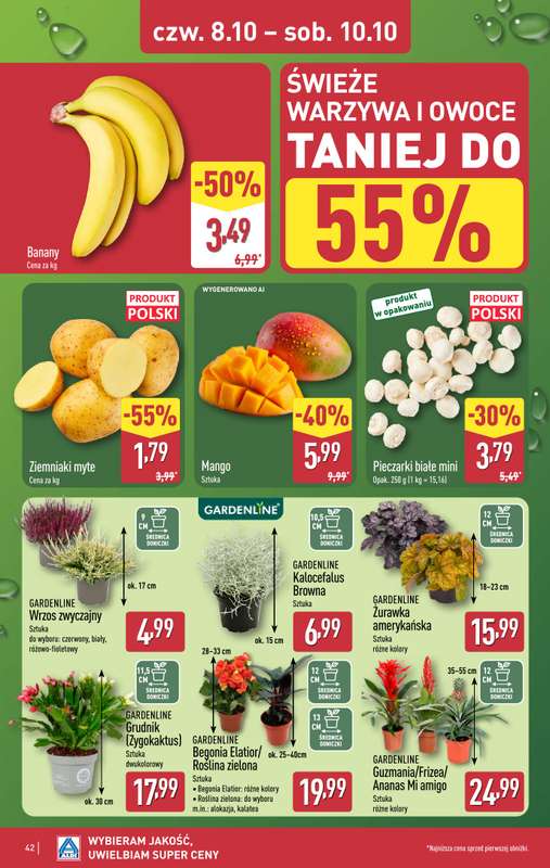 Aldi - gazetka promocyjna Pełny katalog! od poniedziałku 05.10 do soboty 10.10 - strona 42