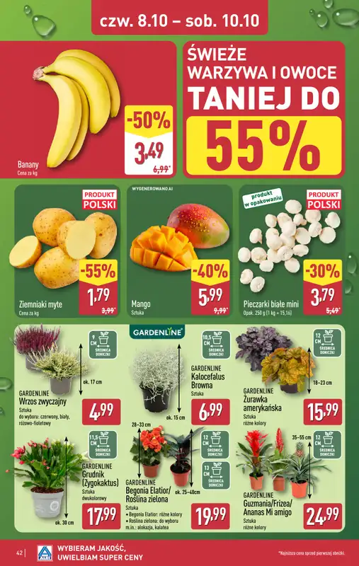 Aldi - gazetka promocyjna Pełny katalog! od poniedziałku 05.10 do soboty 10.10 - strona 42