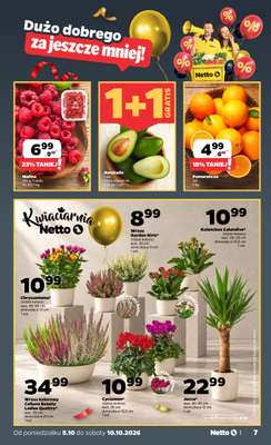 Netto - gazetka promocyjna Gazetka Spożywcza od poniedziałku 05.10 do soboty 10.10 - strona 7
