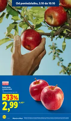 Lidl - gazetka promocyjna Od poniedziałku od poniedziałku 05.10 do środy 07.10 - strona 10