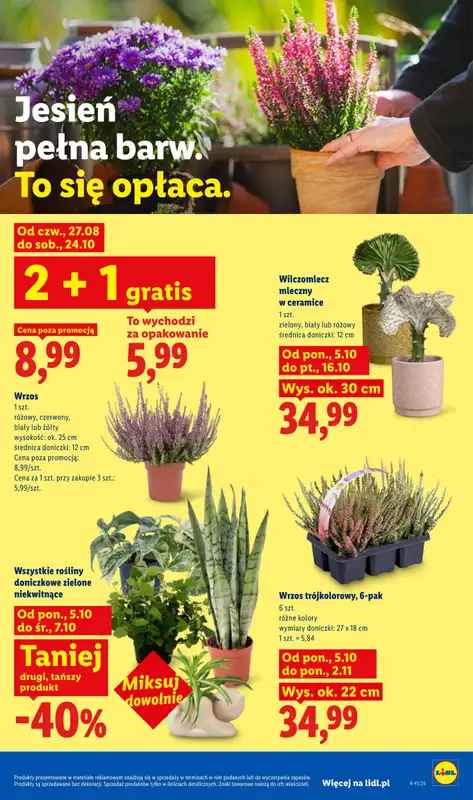 Lidl - gazetka promocyjna Od poniedziałku od poniedziałku 05.10 do środy 07.10 - strona 89