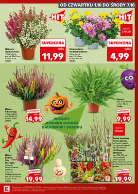 Kaufland - gazetka promocyjna Gazetka Tygodnia od czwartku 01.10 do środy 07.10 - strona 7