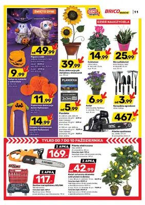 Bricomarche - gazetka promocyjna Gazetka od środy 07.10 do soboty 17.10 - strona 12