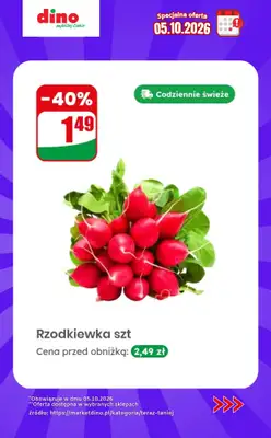 Dino - gazetka promocyjna Specjalna oferta na 05.10.2026 - promocje spoza gazetki od poniedziałku 05.10 do poniedziałku 05.10 - strona 2