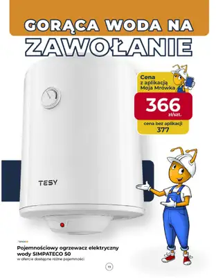 PSB Mrówka - gazetka promocyjna Gazetka od czwartku 08.10 do soboty 17.10 - strona 13
