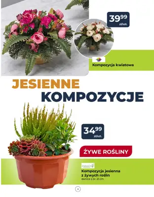 PSB Mrówka - gazetka promocyjna Gazetka od czwartku 08.10 do soboty 17.10 - strona 3