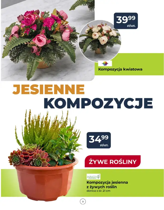 PSB Mrówka - gazetka promocyjna Gazetka od czwartku 08.10 do soboty 17.10 - strona 3